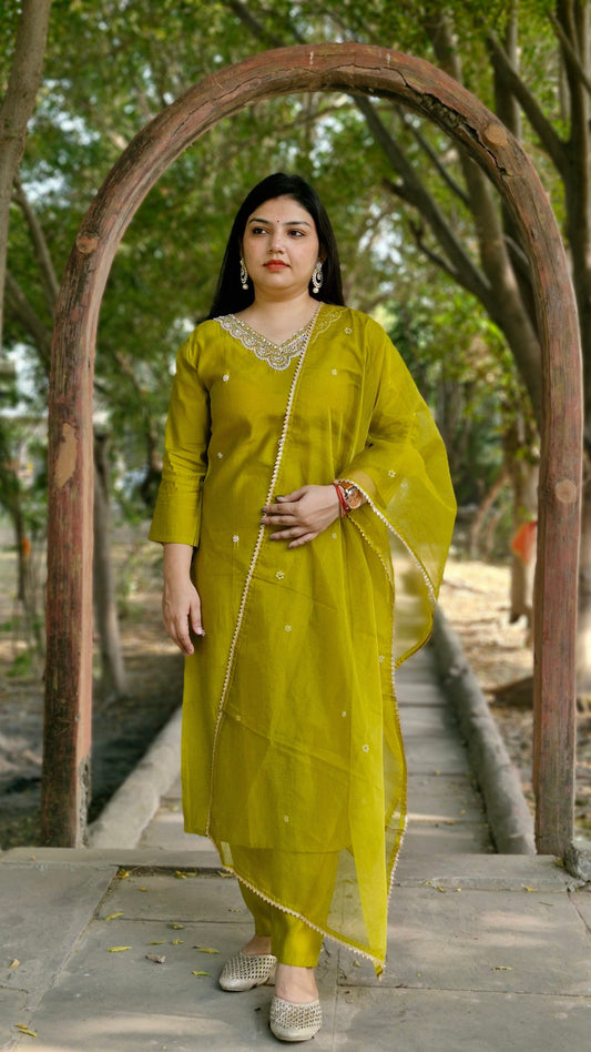 Elegant Olive Green Embroidered Suit Set